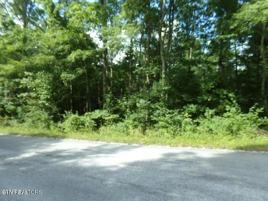 2405 White Horse Drive, Crossville, TN 38572 - #1