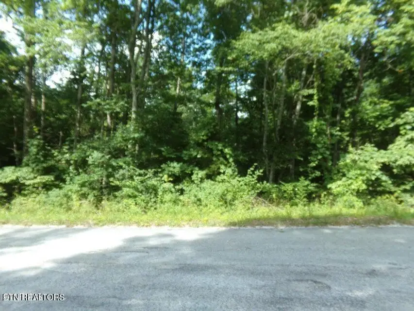 2405 White Horse Drive, Crossville, TN 38572 - #3