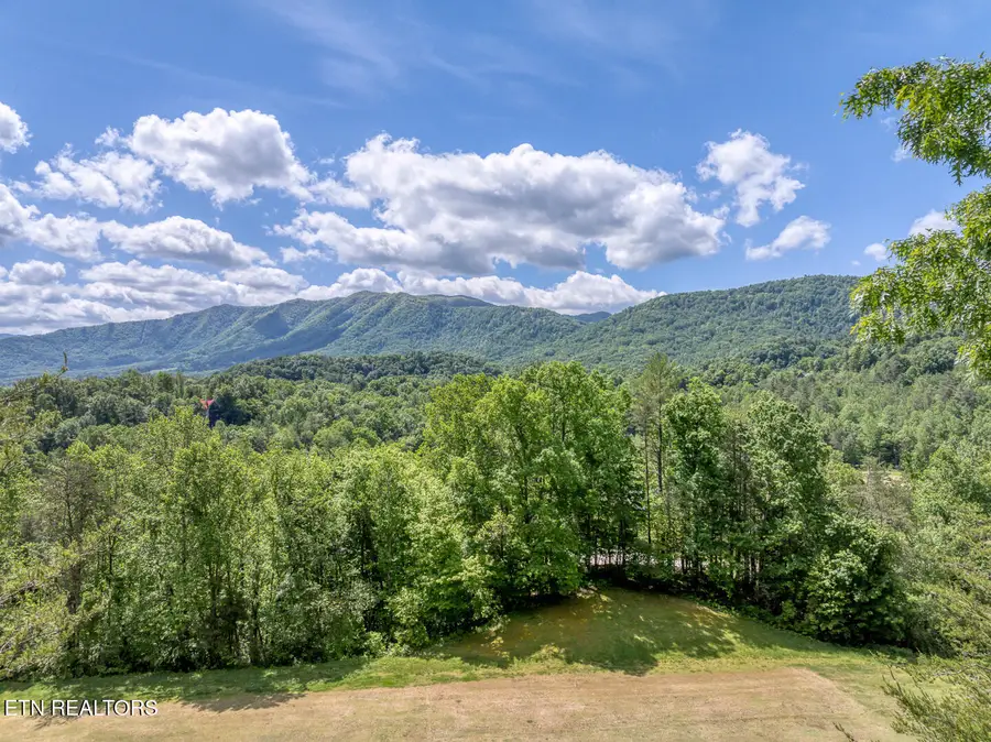 413 Settlers Rise Rd, Townsend, TN 37882 - #2