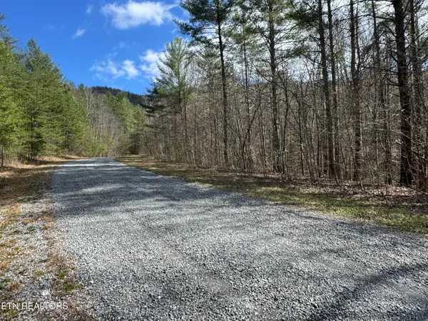 Cougar Trail 10.1, Del Rio, TN 37727