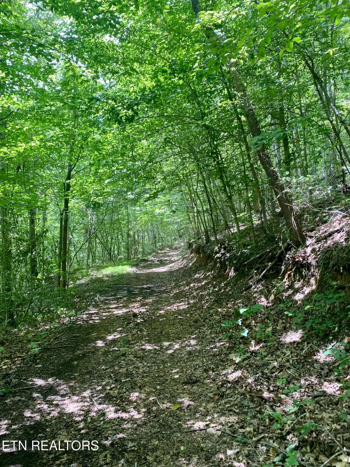 River Ridge Road Tract 3, Maynardville, TN 37807 - #1