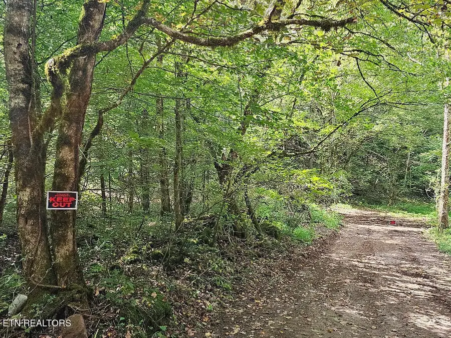 73.87ac Mill Hollow Rd, Tazewell, TN 37879 - #2