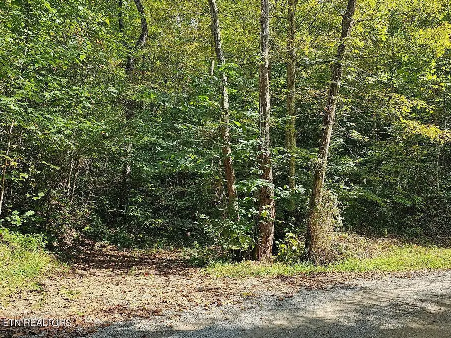 73.87ac Mill Hollow Rd, Tazewell, TN 37879 - #3