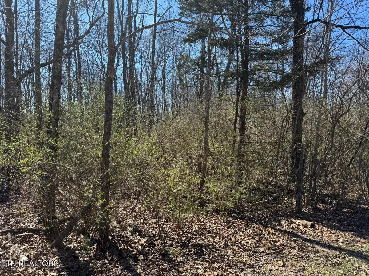 0 Tenth/knight, Crossville, TN 38555 - #1