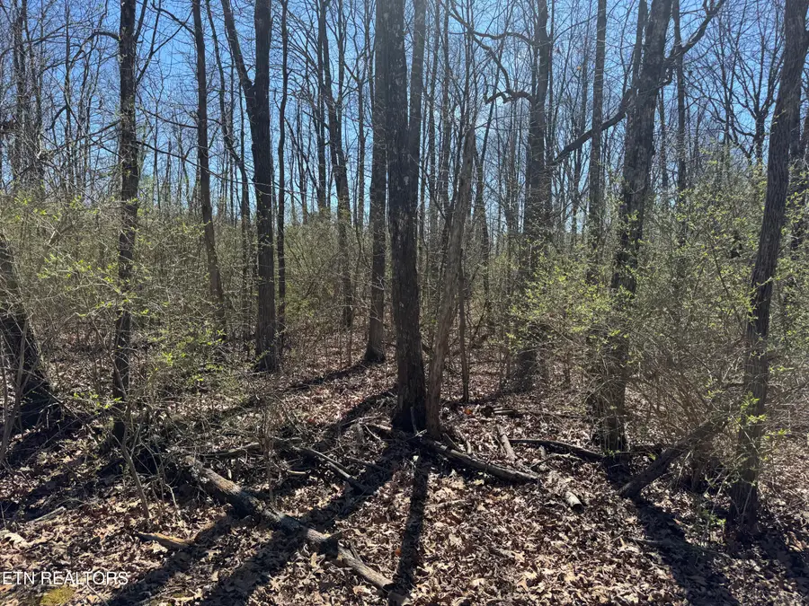 0 Tenth/knight, Crossville, TN 38555 - #3