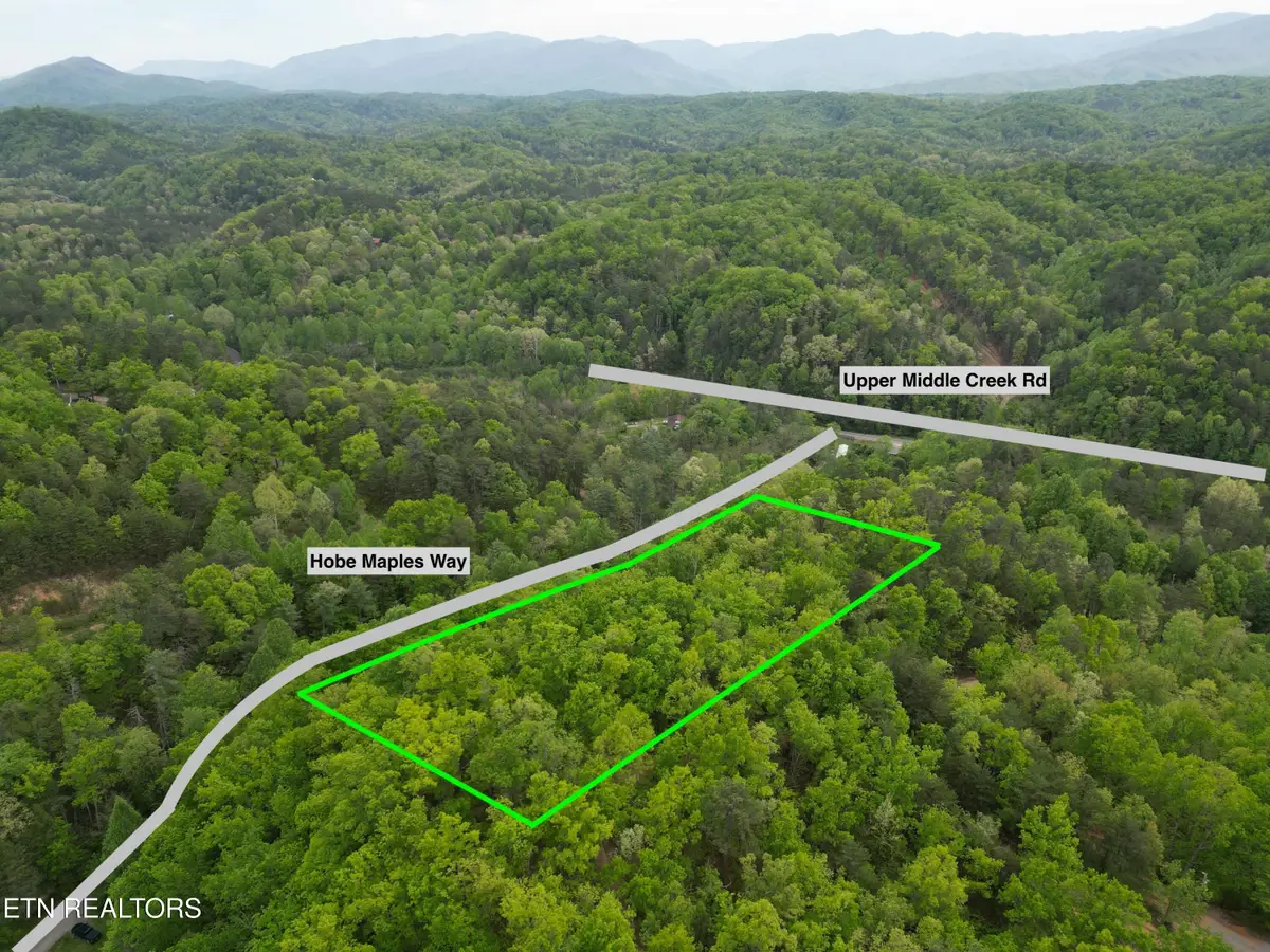 Hobe Maples Way, Sevierville, TN 37876 - #1