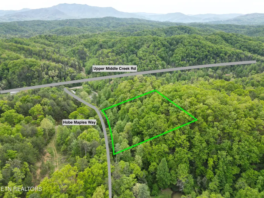 Hobe Maples Way, Sevierville, TN 37876 - #2