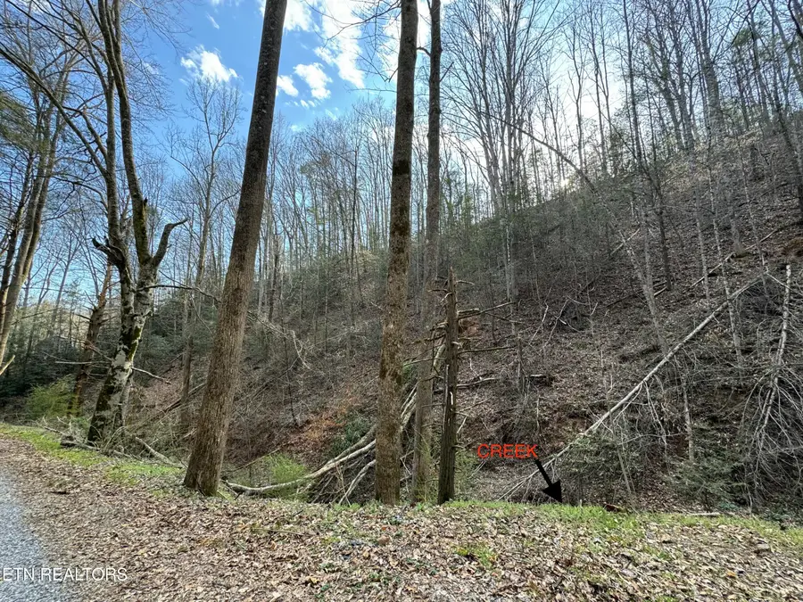Hobe Maples Way, Sevierville, TN 37876 - #3