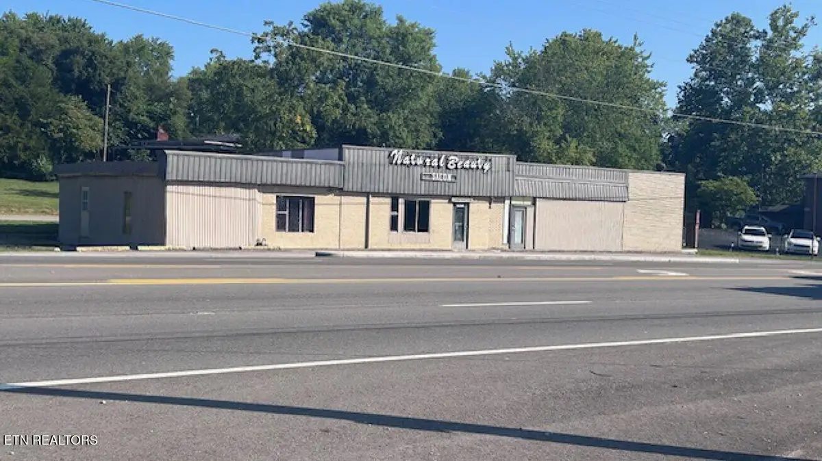 19421 Alberta St, Oneida, TN 37841 - #1