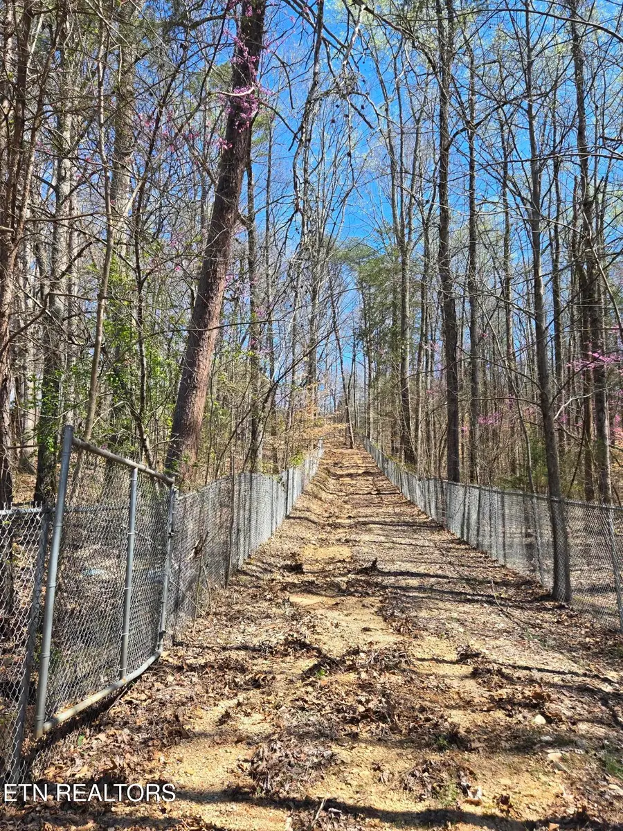 2405 River Rd, Kingston, TN 37763 - #2