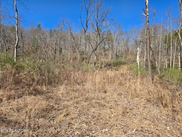 110 Braden Chapel Rd, Speedwell, TN 37870