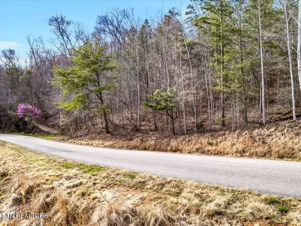 Lot 553 Whistle Valley Rd, New Tazewell, TN 37825