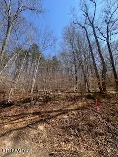 0 Swan Seymour Rd, Maynardville, TN 37807 - #1