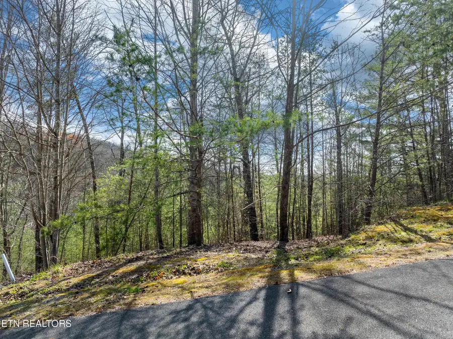 227 Black Powder Court, Walland, TN 37886 - #2