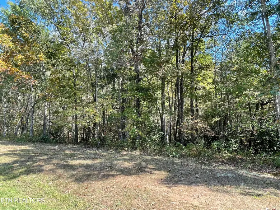 130 Stillington Loop, Crossville, TN 38558 - #3