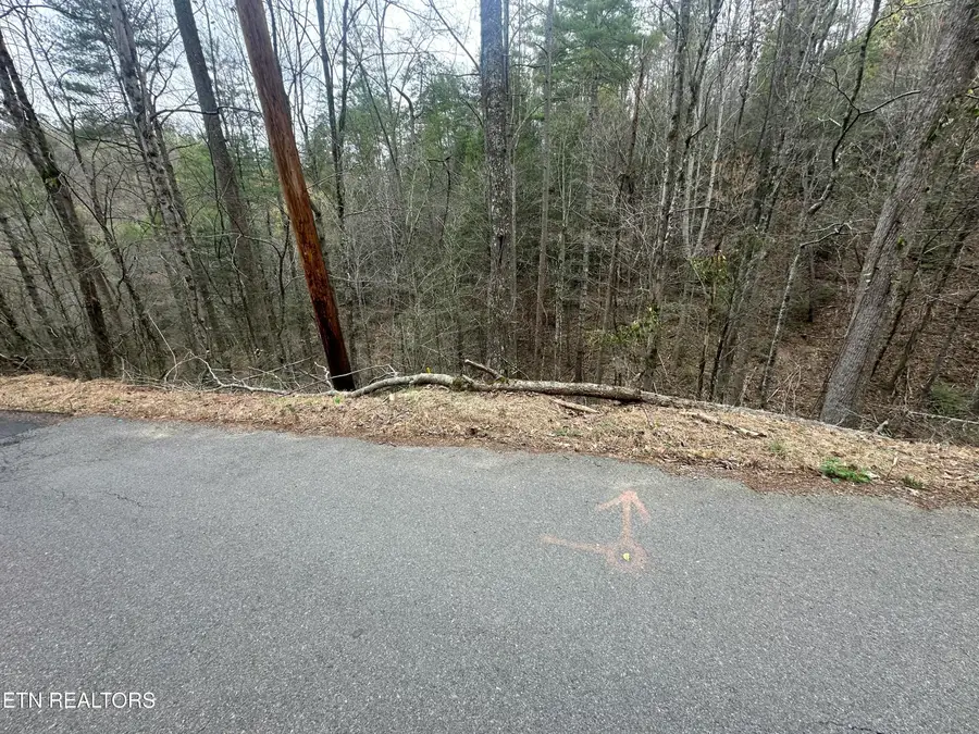 Headrick Lead, Sevierville, TN 37862 - #3