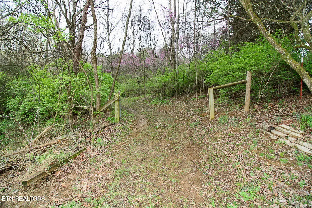 5 Acre Tr. Cedar School Rd, Dandridge, TN 37725 - #1