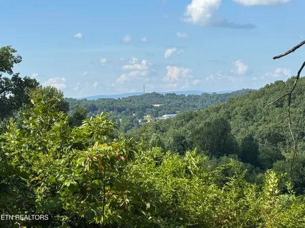 Cole Hollow Rd, New Tazewell, TN 37825
