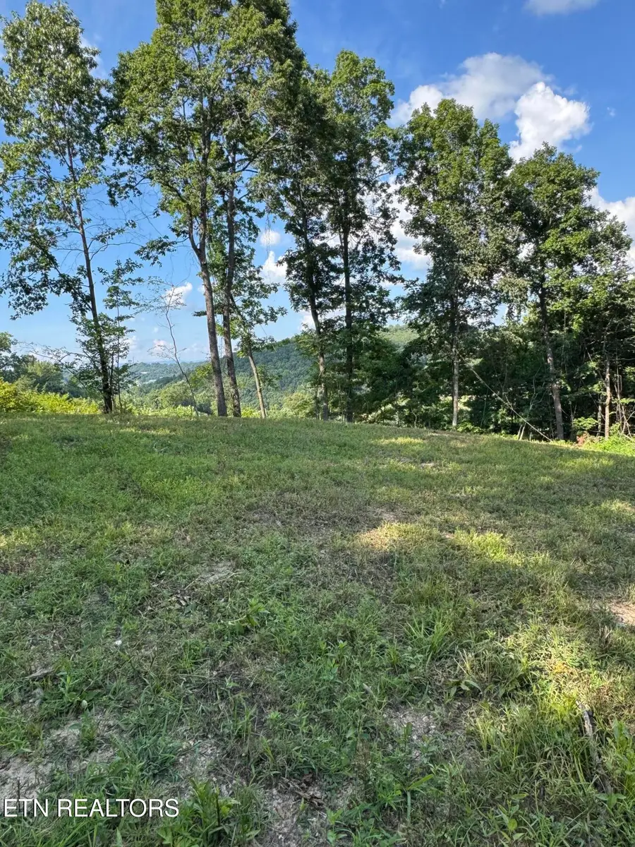 Cole Hollow Rd, New Tazewell, TN 37825 - #2