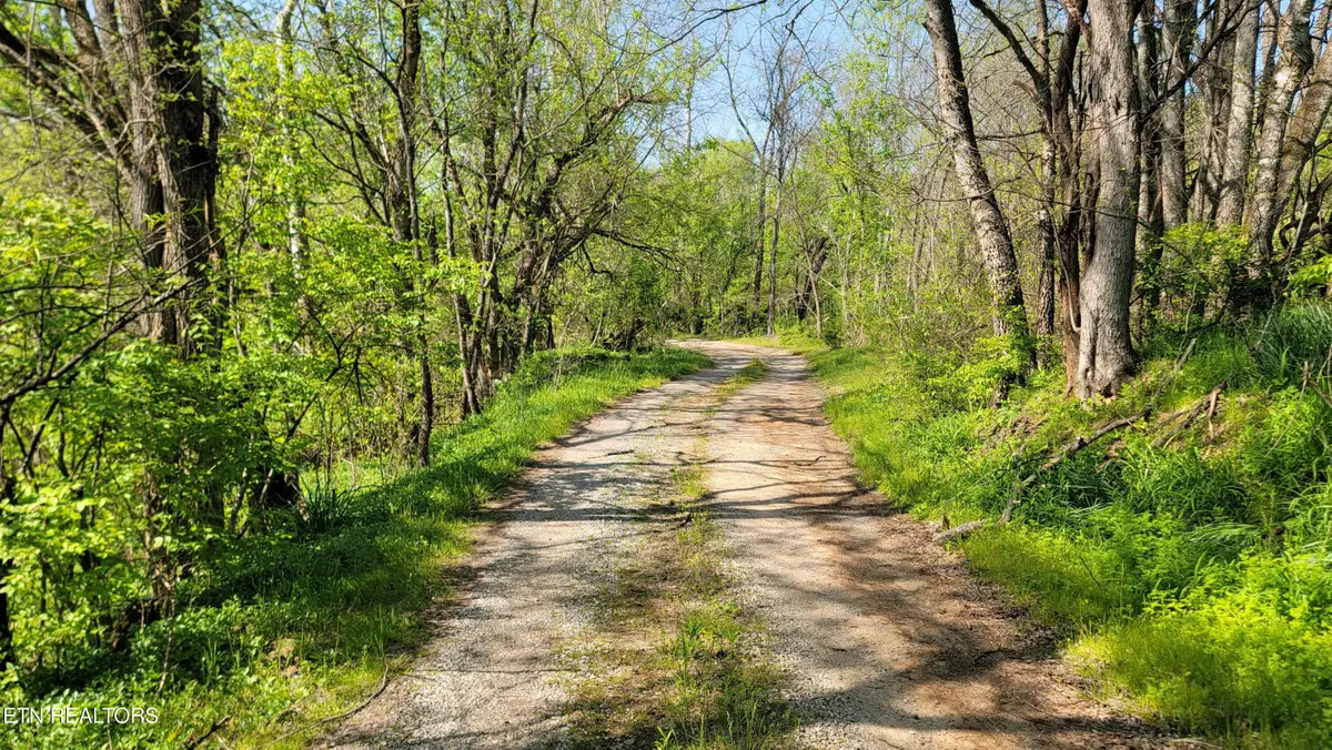 1909 Buck Hollow Rd, New Market, TN 37820 - #1