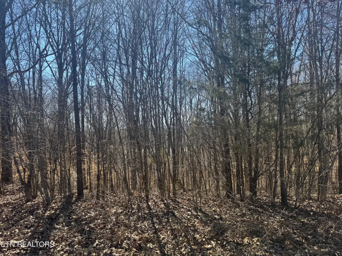 LOT 71 Saddle Ridge Drive, Speedwell, TN 37870 - #1