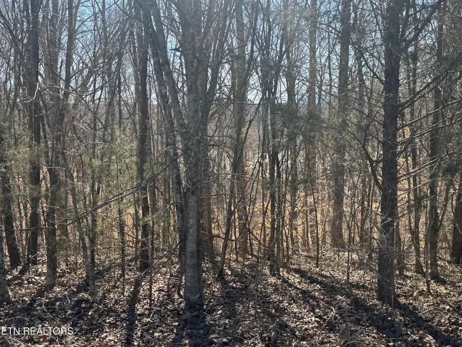 LOT 71 Saddle Ridge Drive, Speedwell, TN 37870 - #3