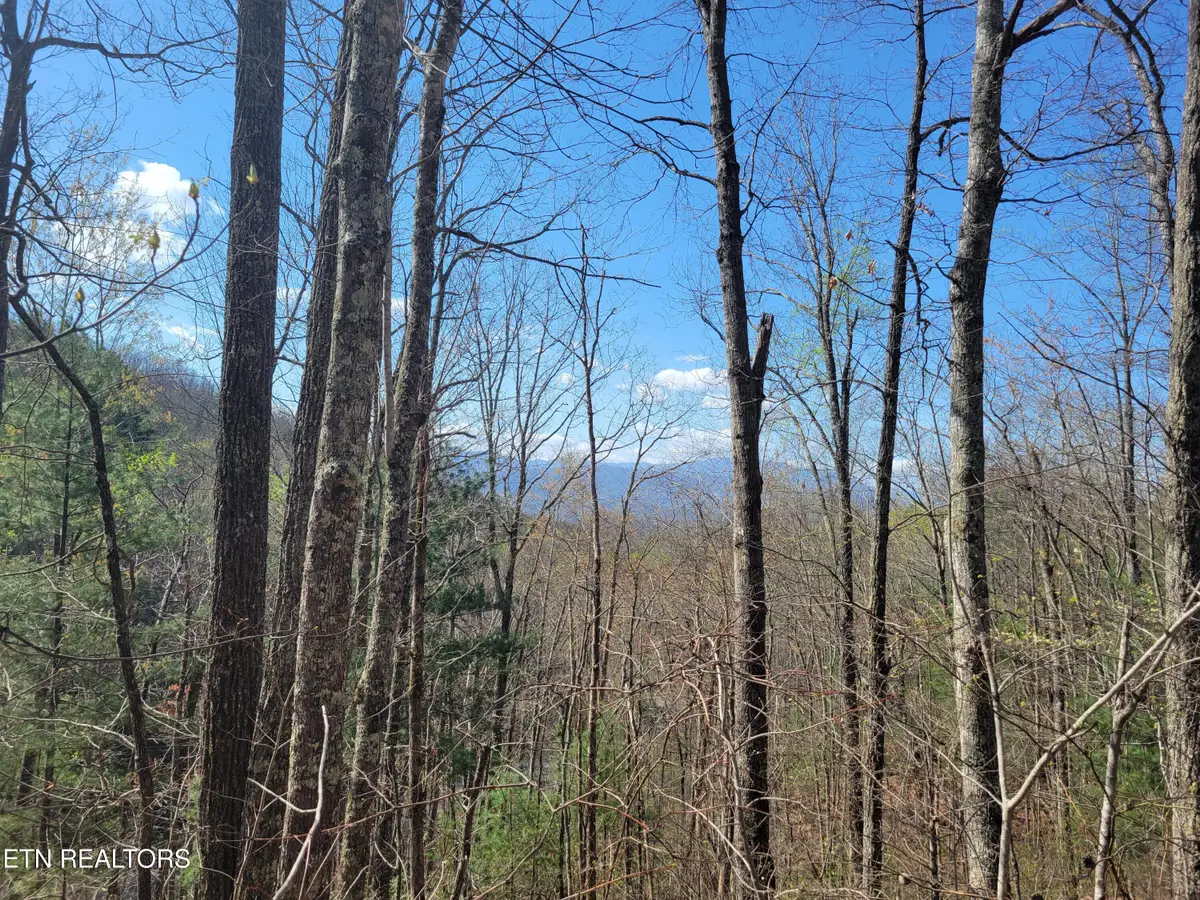 Lot 4 Alpine Drive, Sevierville, TN 37876 - #1
