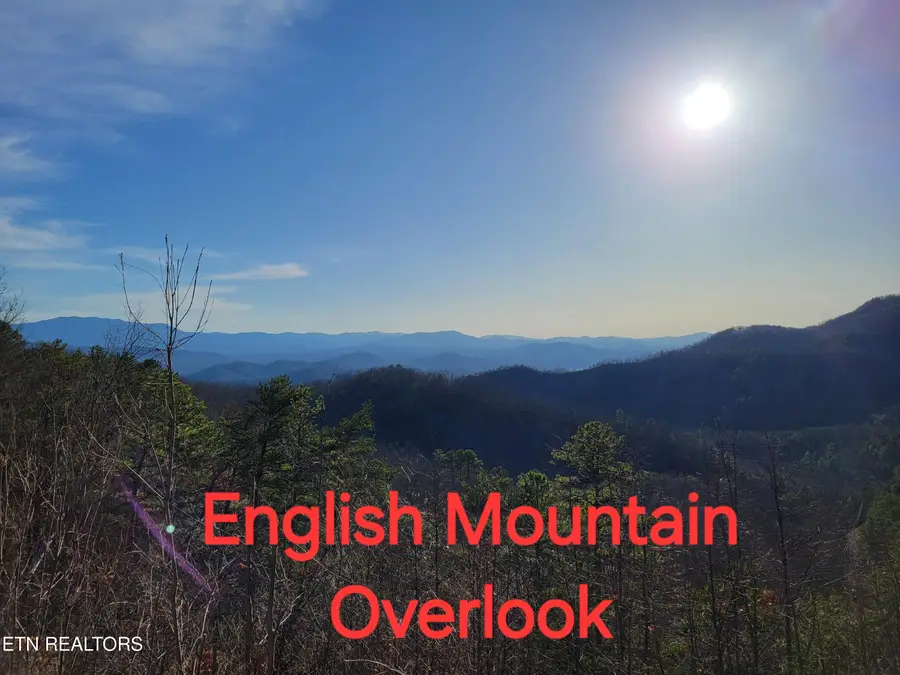 Lot 4 Alpine Drive, Sevierville, TN 37876 - #2