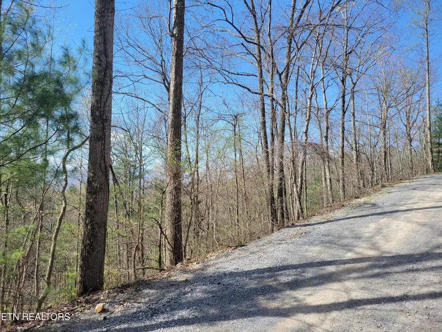 Lot 4 Alpine Drive, Sevierville, TN 37876 - #3