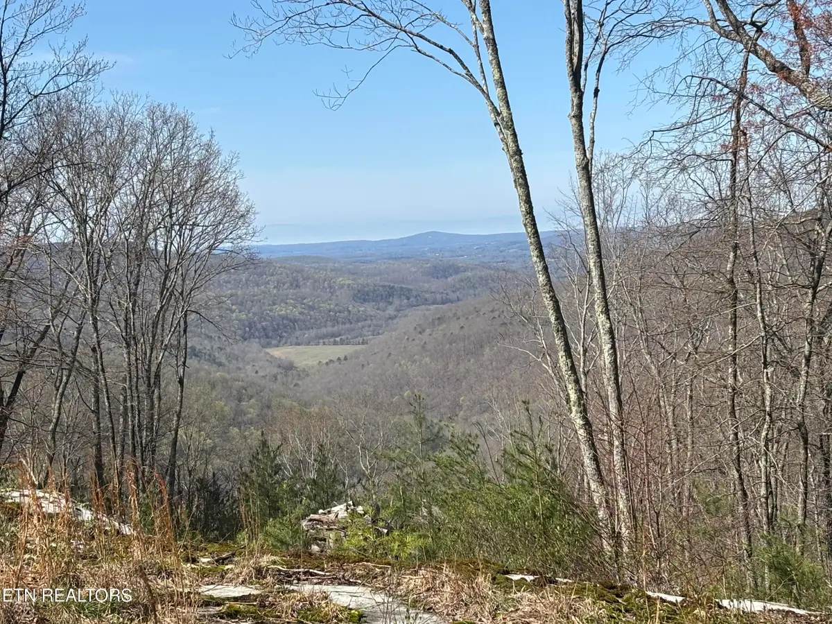 E Overlook Rd, Monterey, TN 38574 - #1