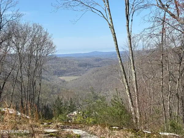 E Overlook Rd, Monterey, TN 38574