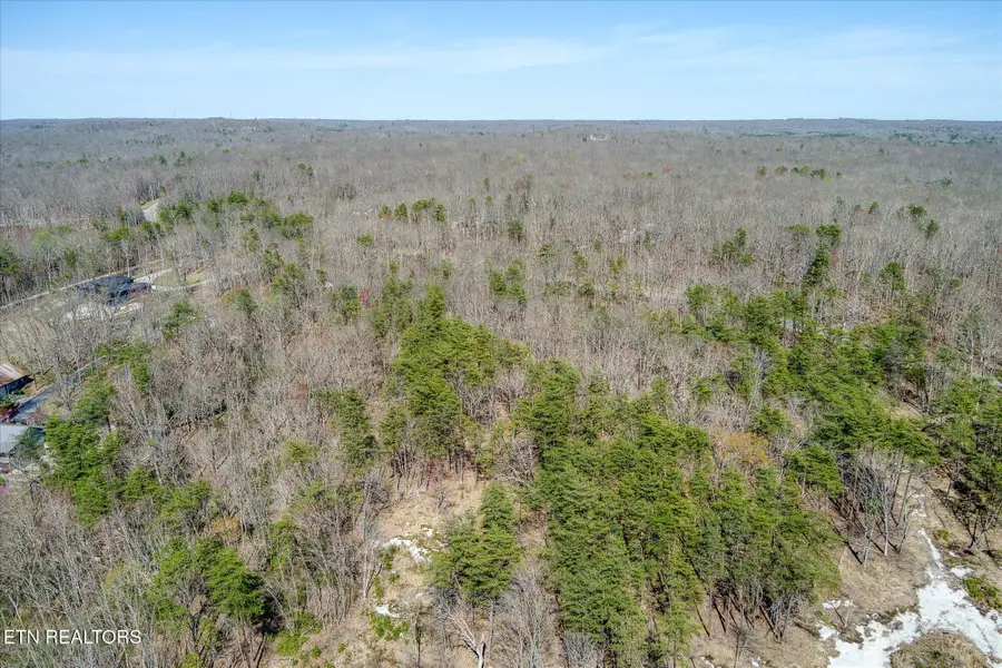 E Overlook Rd, Monterey, TN 38574 - #3