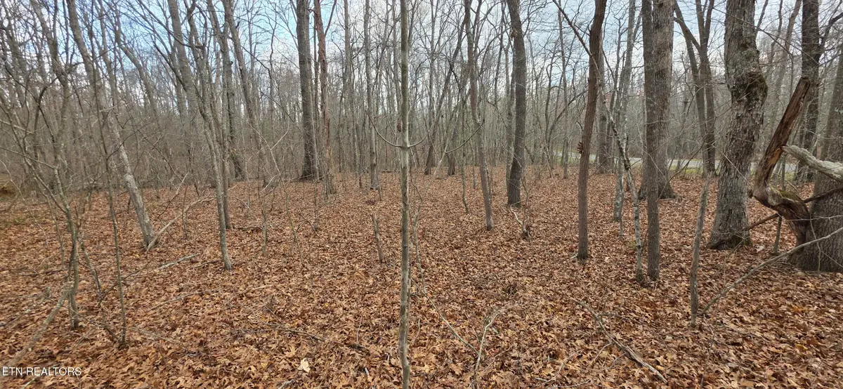 13 Pond Rd, Monterey, TN 38574 - #1