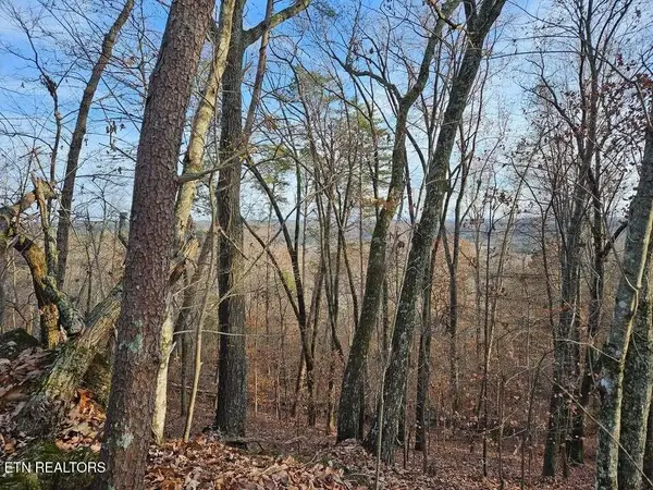 Lot 25 Countryside Drive, Evensville, TN 37332