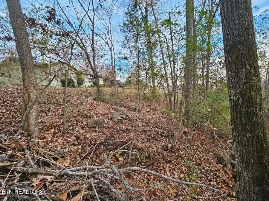 Lot 25 Countryside Drive, Evensville, TN 37332 - #3
