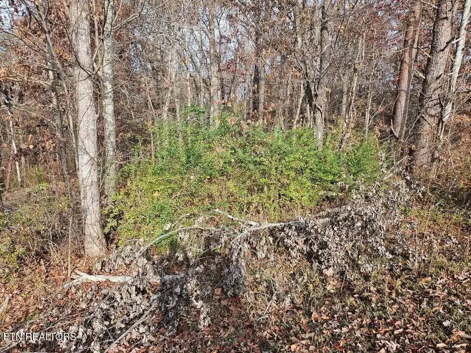 Lots 29/30 Smyrna Heights, Evensville, TN 37332 - #1