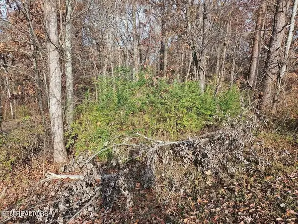 Lots 29/30 Smyrna Heights, Evensville, TN 37332