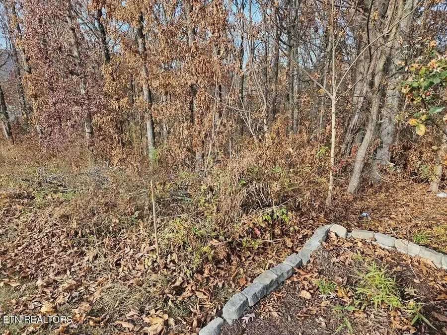 Lots 29/30 Smyrna Heights, Evensville, TN 37332 - #3