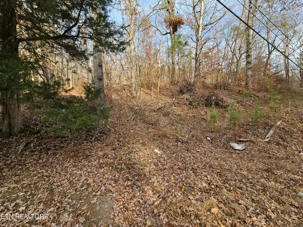 Lot 7 Smyrna Rd, Evensville, TN 37332