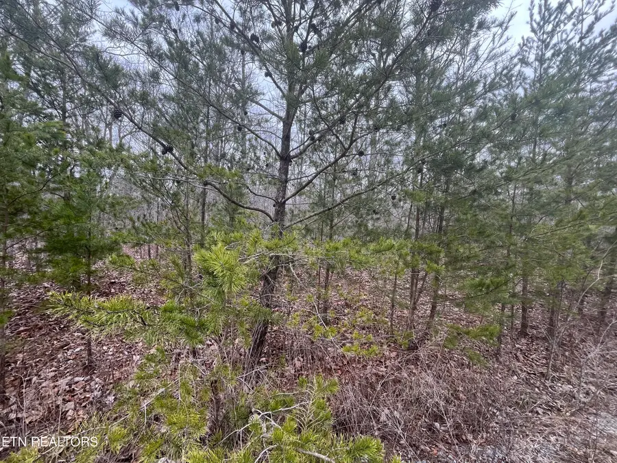 0 Maple Lane, Pikeville, TN 37367 - #2