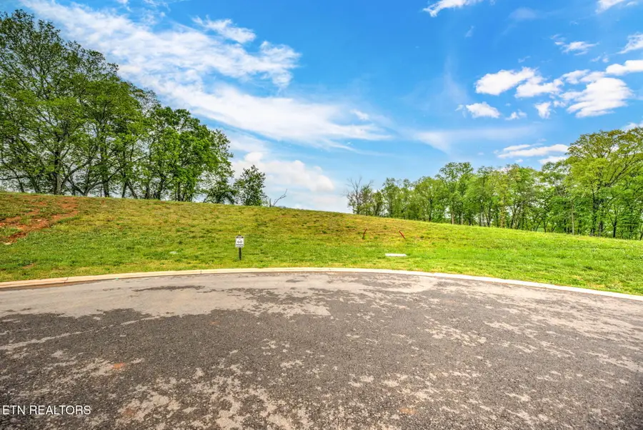 112 Silver Fox Way, Loudon, TN 37774 - #3