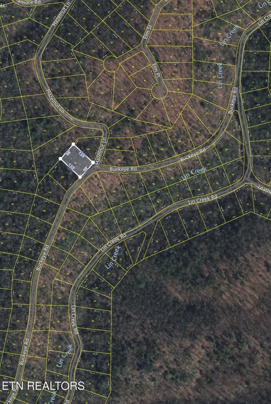 Lot 103 Buckeye Rd, Sevierville, TN 37876 - #3