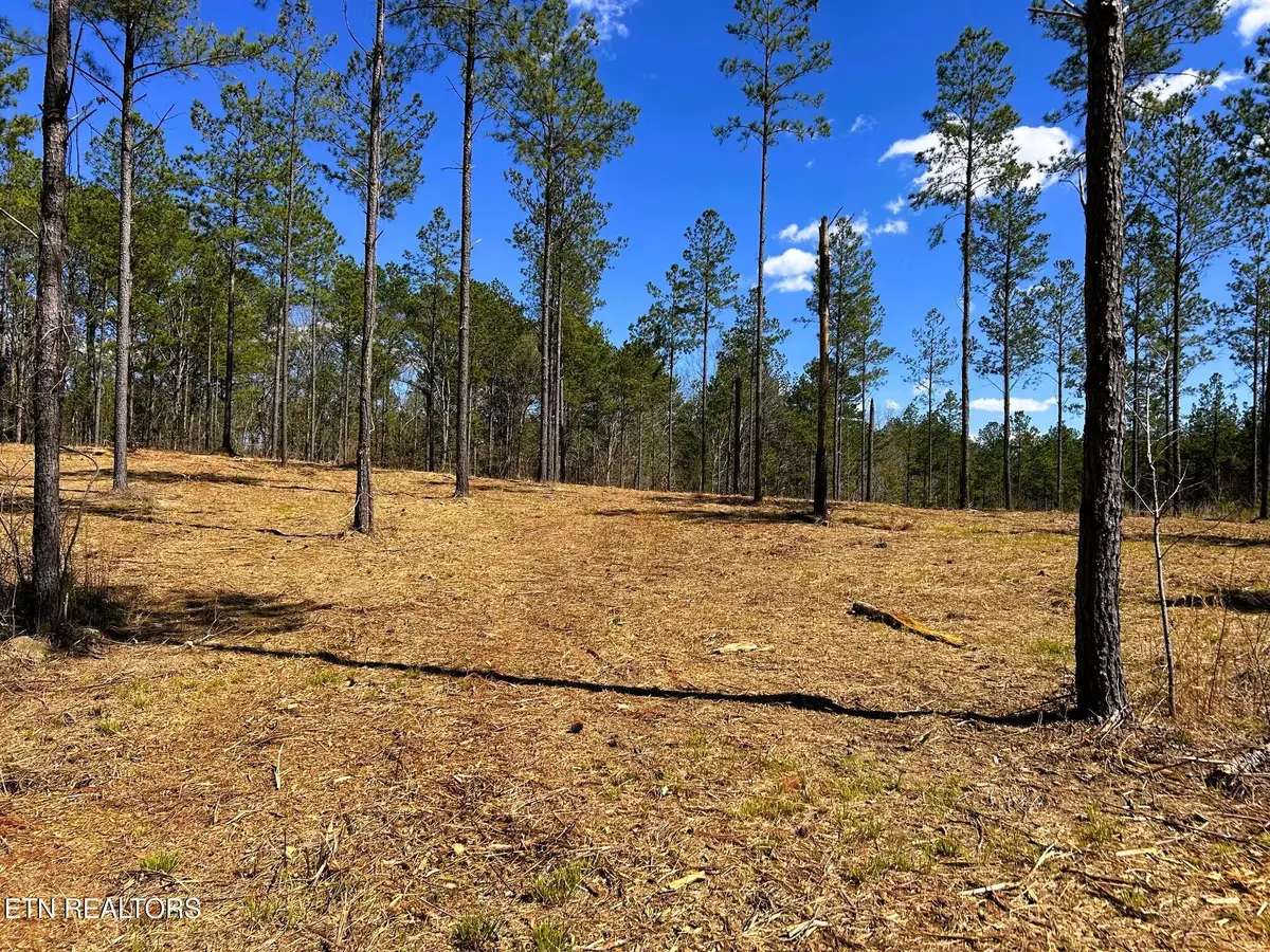 Tract 26B Hughes Lake Road Se, Cleveland, TN 37323 - #1