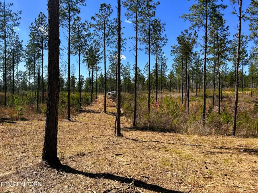 Tract 26B Hughes Lake Road Se, Cleveland, TN 37323 - #2