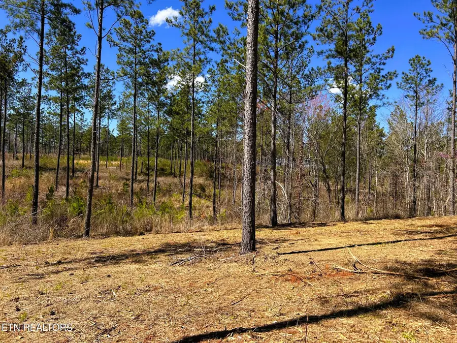 Tract 26B Hughes Lake Road Se, Cleveland, TN 37323 - #3