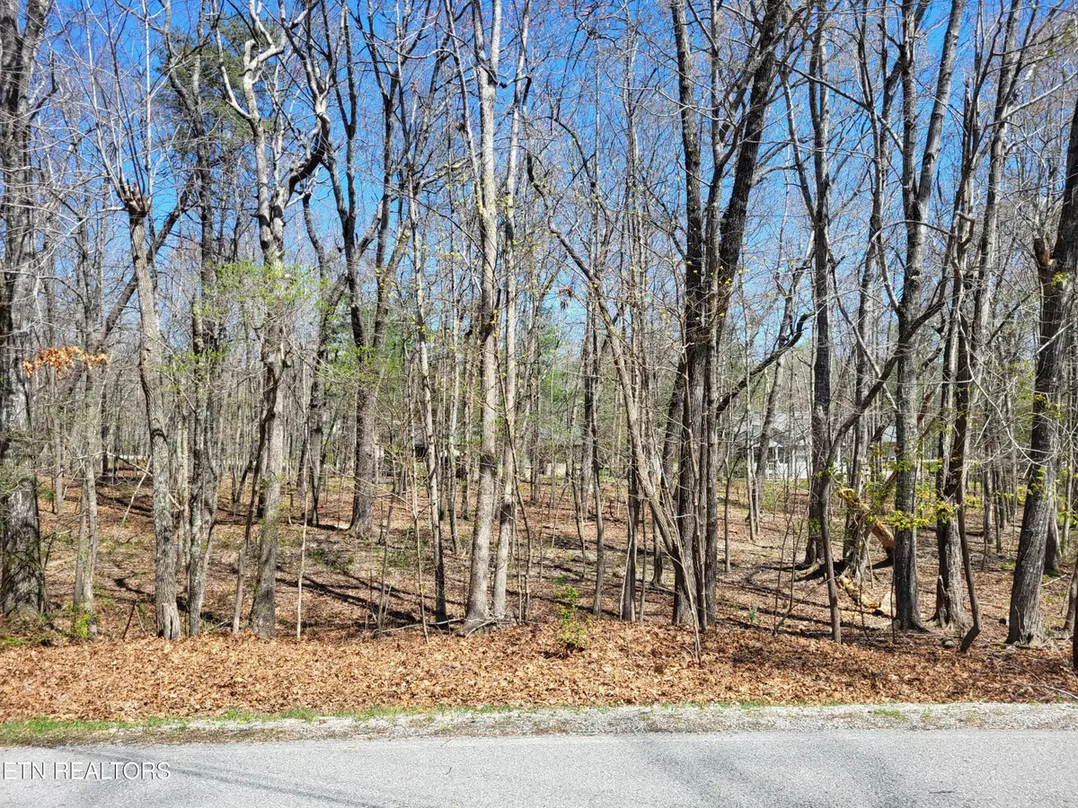 149 Highgate Drive, Crossville, TN 38558 - #1