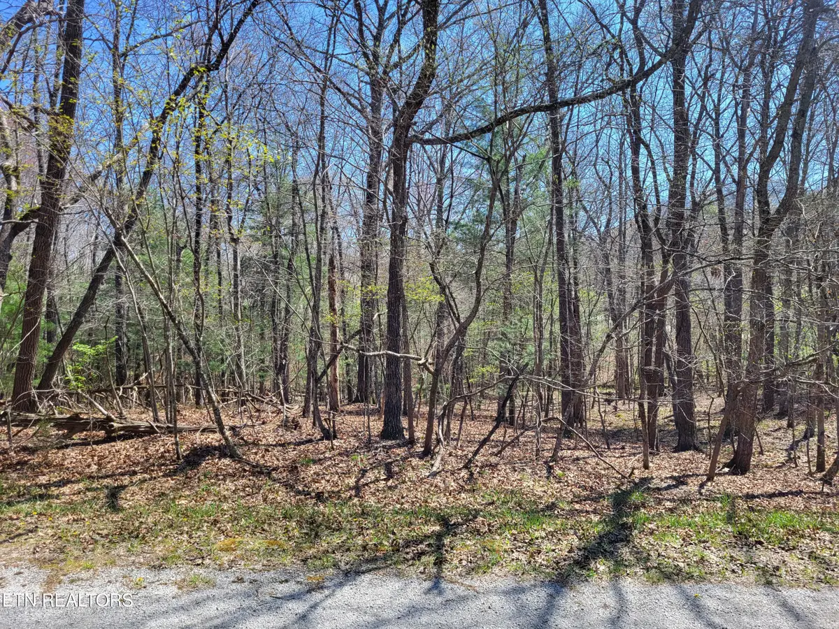 114 Dalefield Loop, Crossville, TN 38558 - #1