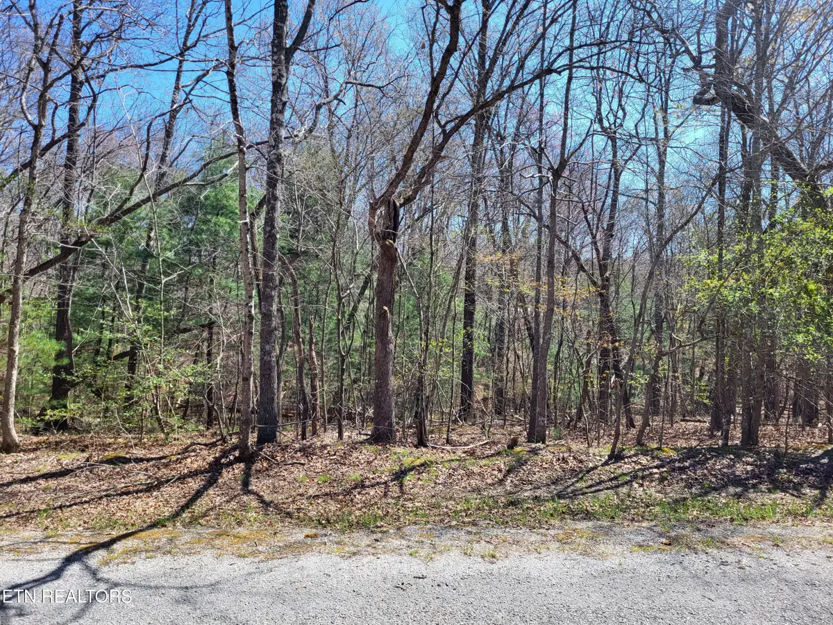 118 Dalefield Loop, Crossville, TN 38558 - #1