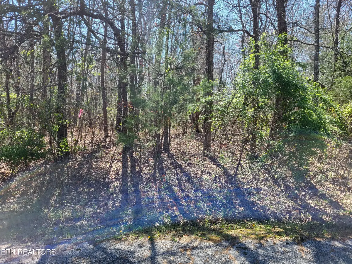 574 Marmaduke Drive, Crossville, TN 38558 - #1