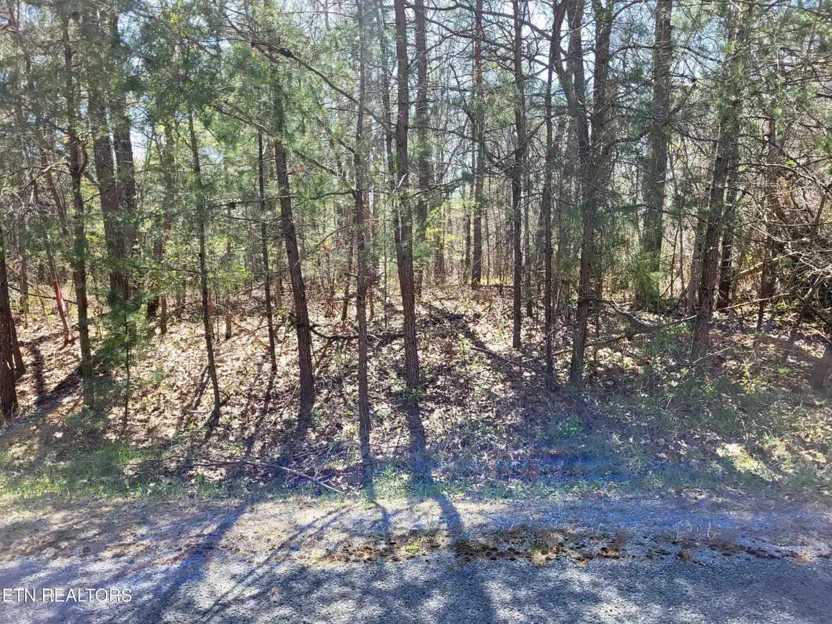 576 Marmaduke Drive, Crossville, TN 38558 - #1